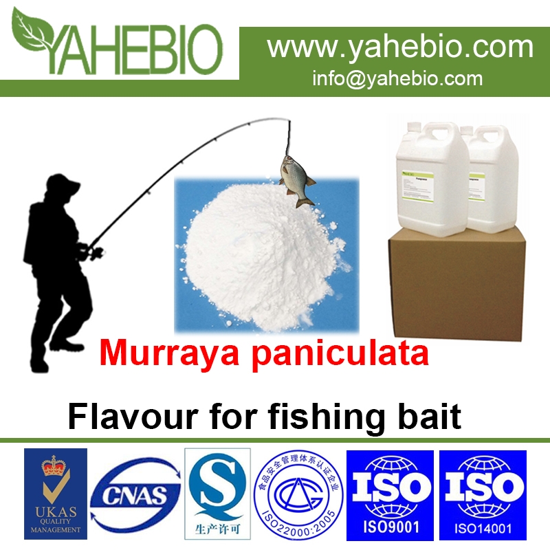murraya paniculata saveur pour appâts de pêche