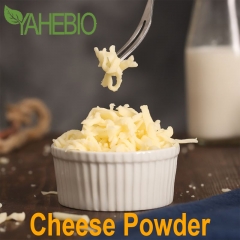 assaisonnement en poudre de fromage