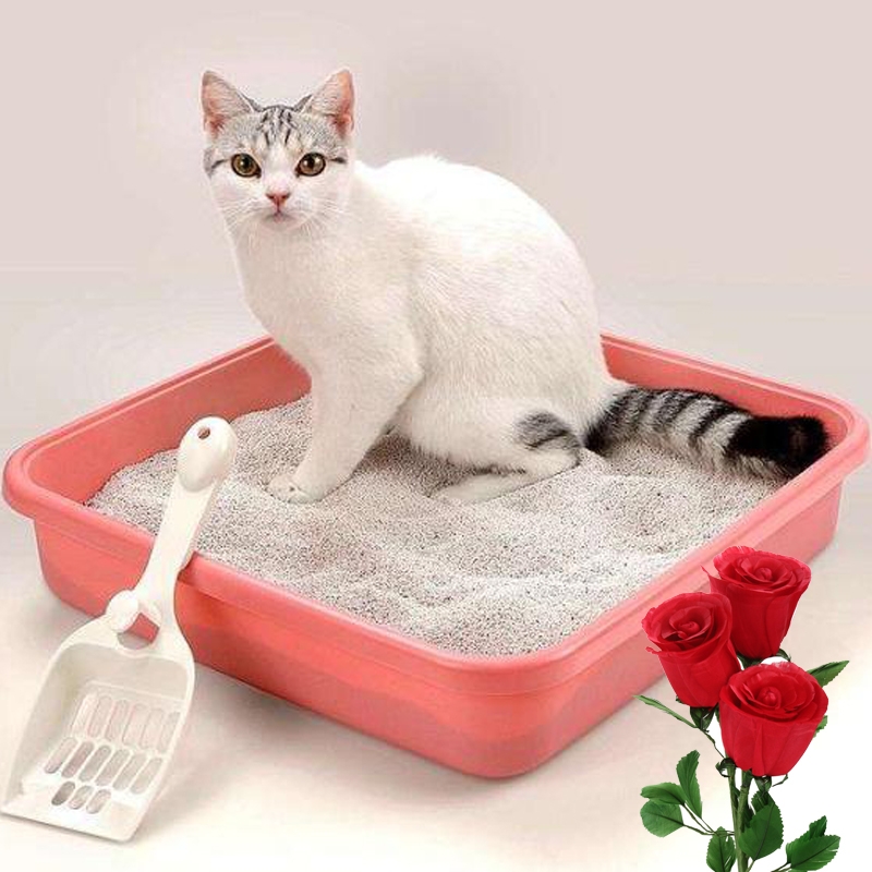 parfum de rose longue durée de haute qualité pour litière pour chat
