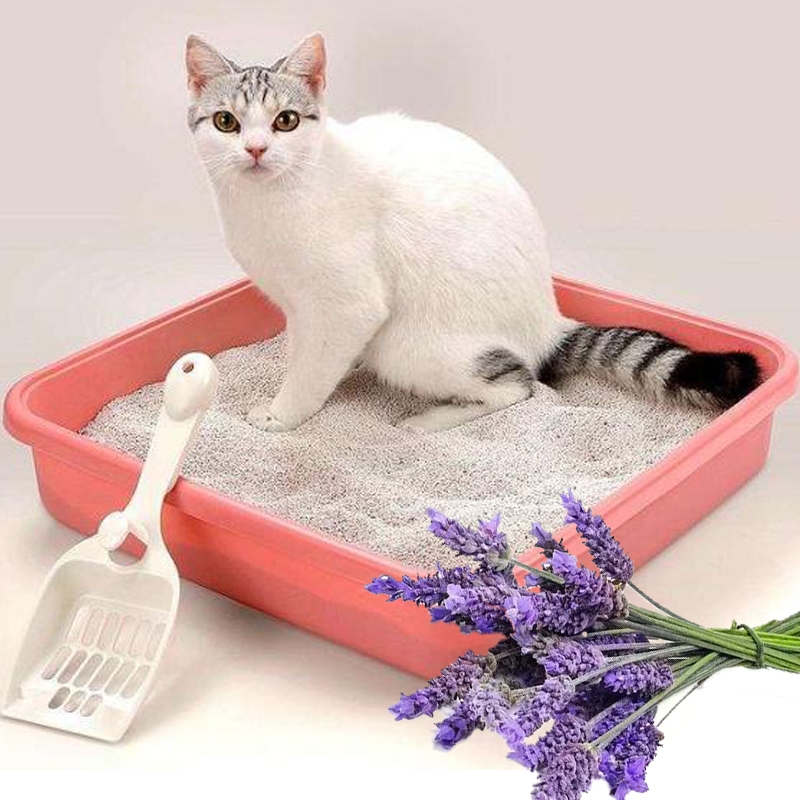 Parfum de lavande en gros d'usine pour les produits pour animaux de compagnie de bac à litière de sable de chat
